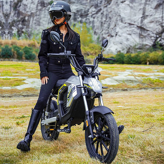 摩兽Pesgo plus电动车新国标智能跨骑长续航电助力电动自行车 太空灰 48V24Ah运动版