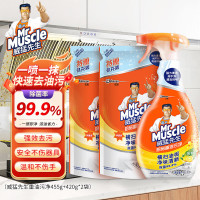 威猛先生 厨房重油污(2袋+1瓶)净抽油烟机清洗剂除油清洁剂强力去污455g+420g*2袋