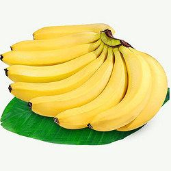 枝头春 plus会员：枝头春 大香蕉 9斤装