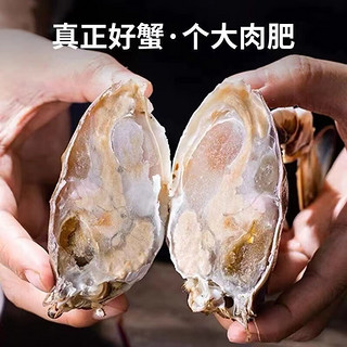 新鲜活冻梭子蟹 大只切块 （1斤10-15块） 大块梭子蟹*500g