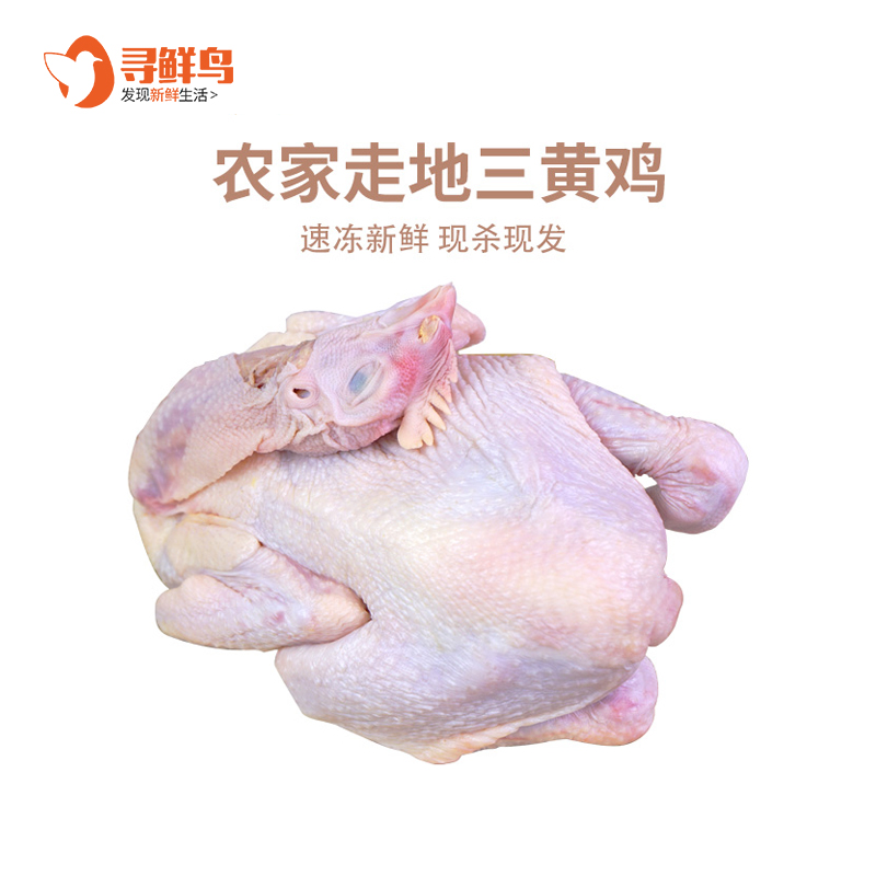 寻鲜鸟 三黄鸡农家散养750g/只走地鸡2只3只新鲜肉整只冷冻童子鸡
