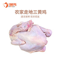 88VIP：寻鲜鸟 三黄鸡农家散养750g/只走地鸡2只3只新鲜肉整只冷冻童子鸡