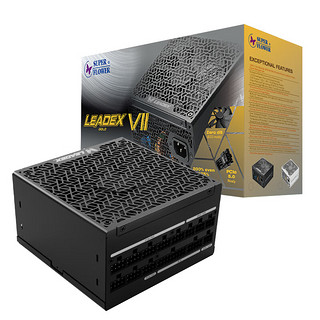 LEADEX VII 1000W 金牌 全模组电脑电源
