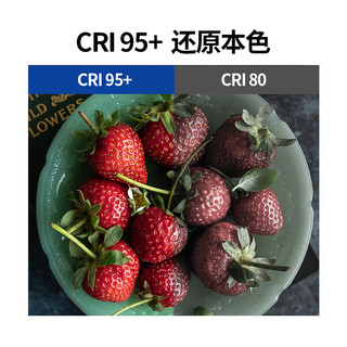  纽尔 NEEWERRGB660全彩LED补光灯摄影灯（包含LED灯+电源+柔光片+灯包）