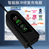 天王鑫 自动断电智能电动车电瓶充电器48V12AH60V20AH72