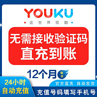 YOUKU 优酷 会员12个月