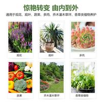 COMPO 康朴 通用营养液1L/瓶 家庭园艺肥料 园艺种植液 办公室阳台桌面盆栽浓缩营养液 德国进口