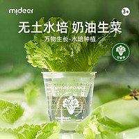 mideer 弥鹿 儿童植物观察阳光房种植菜科学手工小实验万物生长-水培生菜