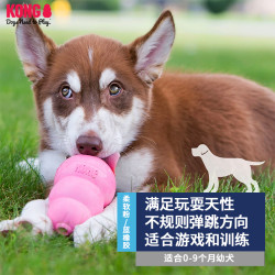 KONG 狗狗玩具 葫芦漏食球