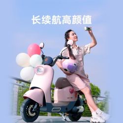 yadea雅迪冠能dq7新国标长续航锂电电动自行车到店选颜色