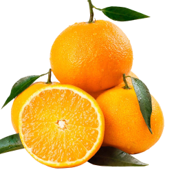 Xian Zhi Nan 鲜指南 爱媛38号 果冻橙 18颗 4kg