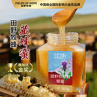 田野牧蜂 藏蜂蜜 青藏高原高营养蜂蜜 金奖品质 成熟原蜜 365g/瓶