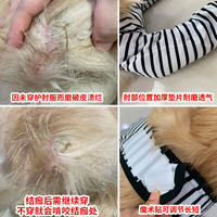 InnoPet 赛路胜 狗狗护膝关节伤口保护防磨防舔金毛拉布拉多中型大型犬宠物护肘衣