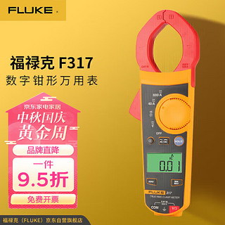 FLUKE 福禄克 F317 钳形万用表