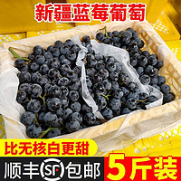 葡萄 新疆蓝莓葡萄新鲜水果吐鲁番无籽甜葡萄黑提提子1斤