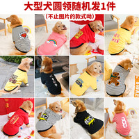 InnoPet 赛路胜 20-100斤大狗狗衣服夏季薄款中大型犬金毛拉布拉多宠物卫衣随机发