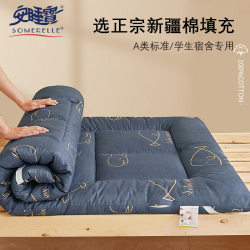 安睡宝 SOMERELLE 安睡宝 单人床垫 90*200cm 约2斤