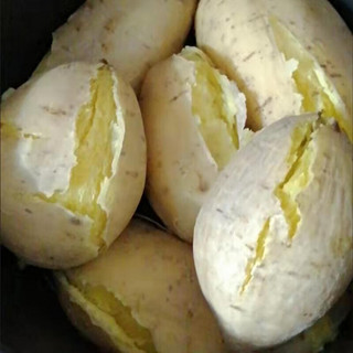 颜曼箐 潮汕番薯农家新鲜自种现挖白皮黄心板栗红薯干粉糯甜鸡蛋品种地瓜 2斤 大果  1斤左右/每个