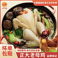 CP 正大食品 正大老母鸡1.25kg煲汤懒人方便速食速食肉制品