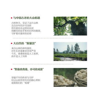 水星家纺 青桑100%有机蚕丝 A类抗菌国色天香抗菌升级春秋被冬被蚕丝被芯 子母被 150*210cm