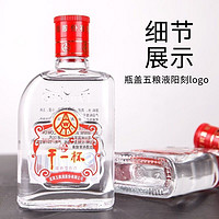 WULIANGYE 五粮液 股份出品干一杯小酒大牌浓香型纯粮白酒46度100