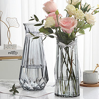 江莱 大号玻璃花瓶透明欧式水养百合干花富贵竹花瓶插花摆件