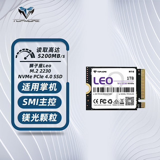 TOPMORE 达墨 Leo 狮子座 NVMe M.2 2230固态硬盘 1TB（PCIe 4.0）