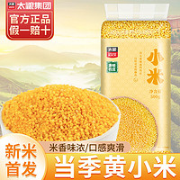 太粮 黄小米月子米油五谷杂粮小米甄选优质产区米油粘稠金黄米粒3斤