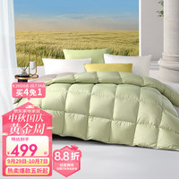 FUANNA 富安娜 家纺 羽绒被芯白鸭绒被子加厚保暖冬天被芯被褥 四季被 152*210cm