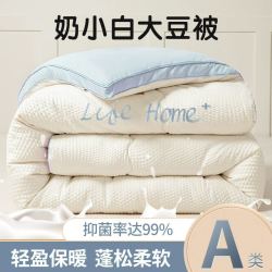 Miiow 猫人 华夫格大豆纤维被子被芯冬被春秋被棉被褥学生宿舍单人四季被