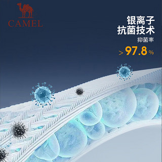 骆驼 CAMEL长袖T恤男圆领冬100%纯棉银离子3A抑菌宽松上衣 暖白，男 M