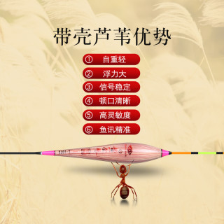 池海黄金眼 芦苇浮漂 黑坑竞技灵敏度高鲫鱼鲤鱼漂混养漂醒目漂（黄金眼 L-1082(细尾)、2号一支）