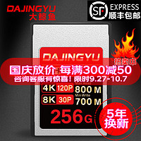 DAJINGYU 大鲸鱼cfa卡CFexpressTypeA存储卡适用索尼a1 A7 FX3 FX6 256G黑金PRO卡 标配 存储卡