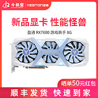 yeston 盈通 AMD盈通 RX6600 8G 大地之神