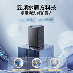 LittleSwan 小天鹅 小钢炮水魔方TB100V83PLUS 波轮洗衣机