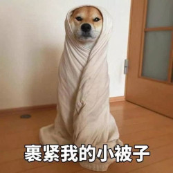 宝宝秋衣秋裤保姆级推荐，厚实舒服均价不到50！