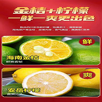 王老吉 金桔柠檬风味饮料  310ML一箱十二瓶夏季饮品