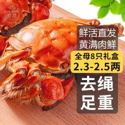 乾澄 大闸蟹现货 全母2.3-2.6两8只 鲜活螃蟹海鲜水产礼盒装