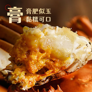 XIAN YAO 鱻谣 大闸蟹 全公3.8-4.1两 8只装 生鲜活蟹