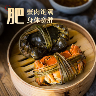 XIAN YAO 鱻谣 大闸蟹 全公3.8-4.1两 8只装 生鲜活蟹