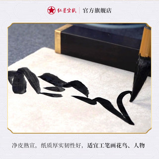 红星 宣纸工笔画熟宣类矾宣四尺特皮净皮矾宣牌宣纸工笔画小楷书法国画小写意创作宣纸 熟宣（矾宣） 四尺净皮66*131cm*10张