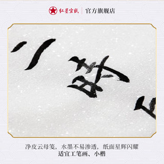 红星 宣纸工笔画熟宣类矾宣四尺特皮净皮矾宣牌宣纸工笔画小楷书法国画小写意创作宣纸 熟宣（矾宣） 四尺净皮66*131cm*10张