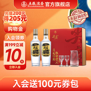 WULIANGYE 五粮液 尖庄 双支装浓香型白酒礼盒  高光感恩版 52度 500ml*2瓶