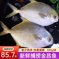 勋康海 深海冷冻金鲳鱼 550g/袋