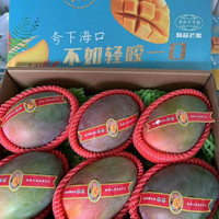 莫小仙四川攀枝花凯特芒果新鲜当季水果整箱特大果青甜芒新果彩箱 严选凯特芒特大果 9斤装