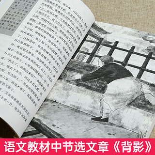 《儿童文学名家经典作品集》