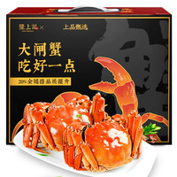 隆上記 大个头！全母3.5-3.8两 8只现货足重大闸蟹礼盒（去绳足重、死蟹包赔）
