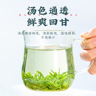 茶马世家 绿茶 2023新茶春茶一级恩施硒茶高山云雾茶浓香型袋装茶叶500g