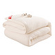 AIDLI 蓬松保暖棉花被 3斤 150*200cm
