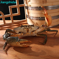 江食代 三门青蟹 鲜活 肉蟹公蟹（5-6两/只）3只 肉鲜少黄螃蟹生鲜水产礼盒装